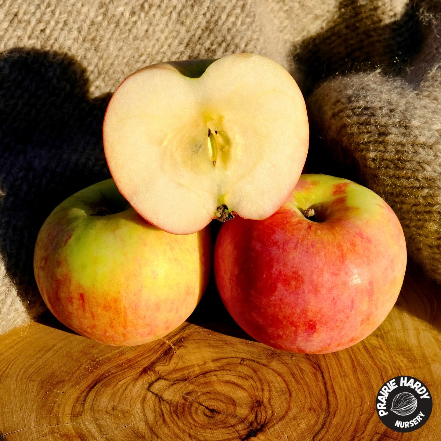 Goodland Apple
