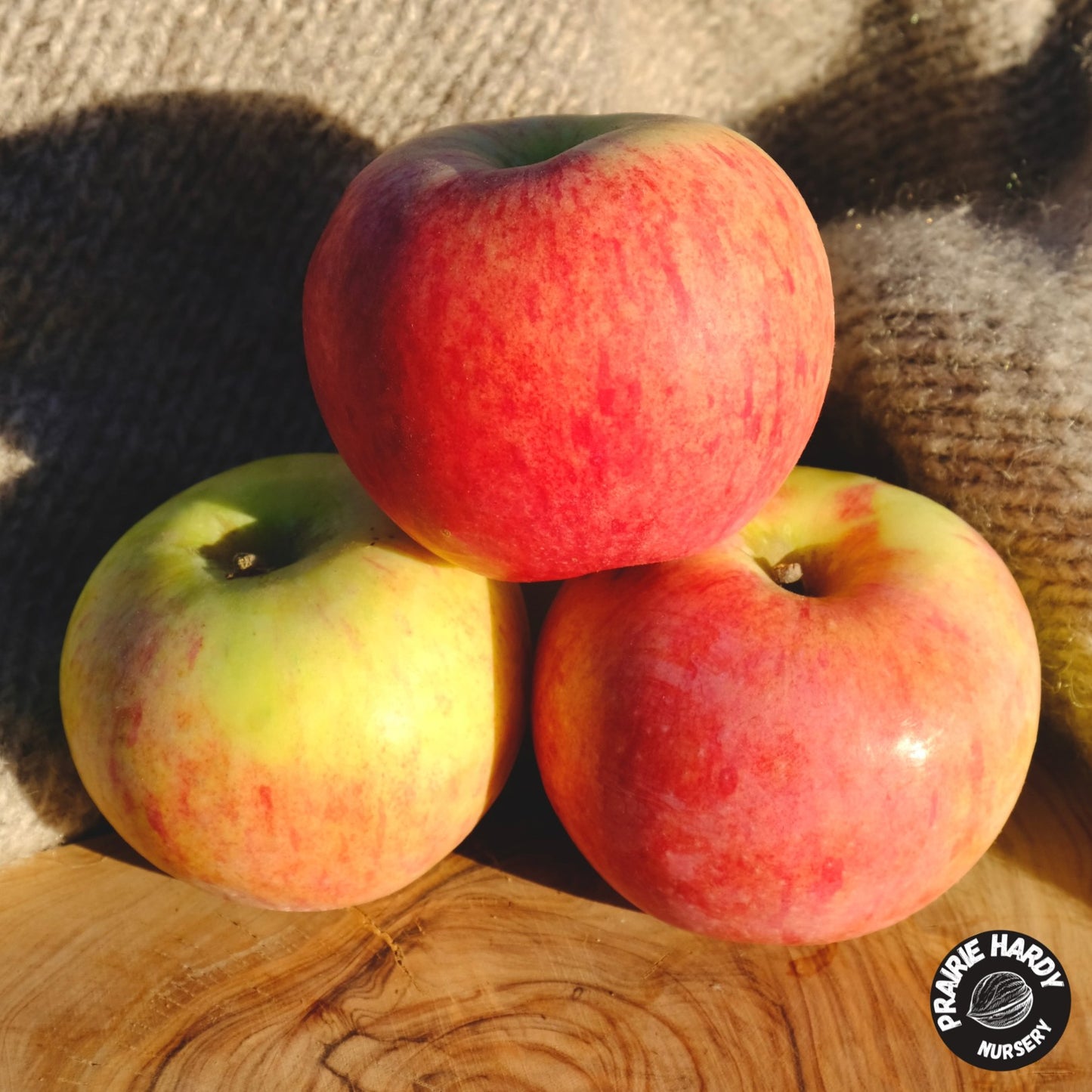 Goodland Apple