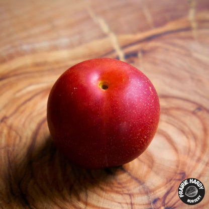 Lee Red Plum