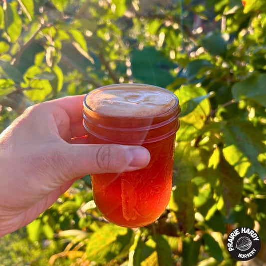 September Ruby Apple